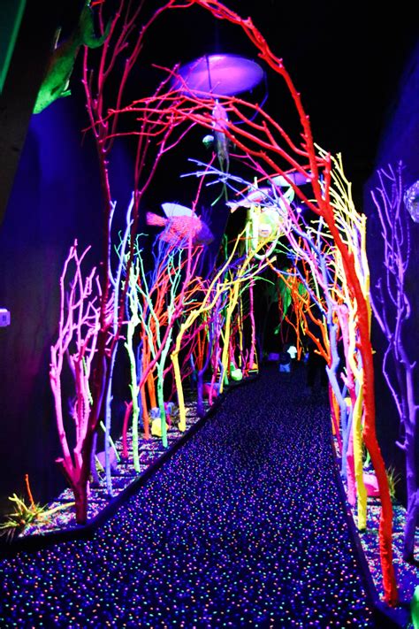 Meow Wolf Santa Fe Reviews: An Unforgettable Immersive Art Experience