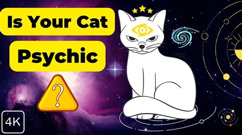 Meowstics: Unraveling the Enigmatic Power of Psychic Cats