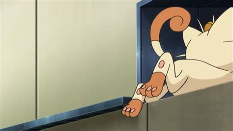 Meowth Feet: An Intriguing Look into the World of Feline Extremities