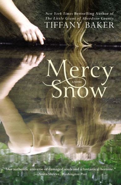 Mercy Snow A Novel PDF