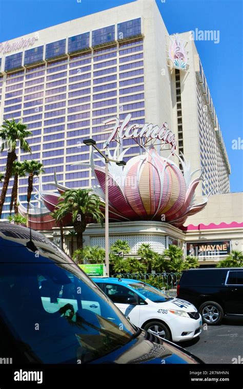 Mergulhe no Glamour do Flamingo Las Vegas Hotel & Casino