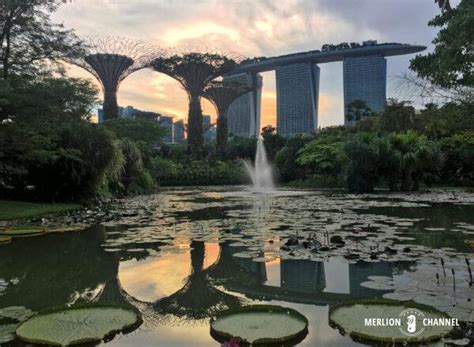 Merlion Park to Gardens by the Bay by Bus: Your Ultimate 13-Stop Guide