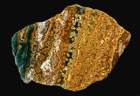 Mesmerizing Orbicular Jasper: Unveiling Its Enchanting Properties