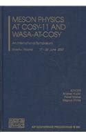 Meson Physics at COSY-11 and WASA-at-COSY An International Symposium 1st Edition Kindle Editon