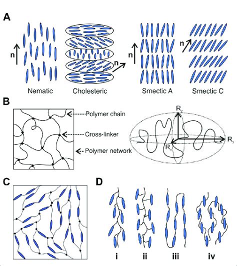 Mesophases PDF