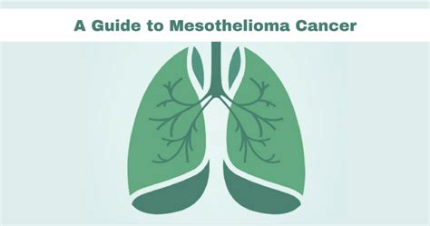 Mesothelioma: A Comprehensive Guide