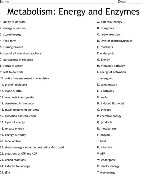 Metabolism Energy And Enzymes Answers Reader