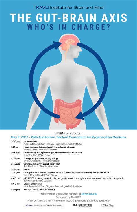 Metaburst: The Revolutionary Health Supplement Transforming the Gut-Brain Axis