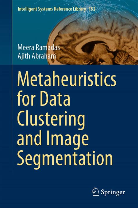 Metaheuristic Clustering 1st Edition Doc