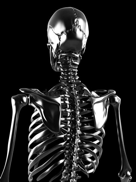 Metallic Skeleton: