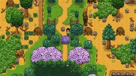 Meteorite Stardew Valley: A Comprehensive Guide