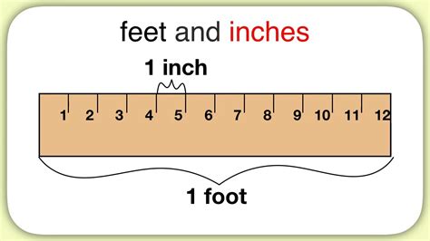 Meter Compared to a Foot: Understanding the Differences in Measurement