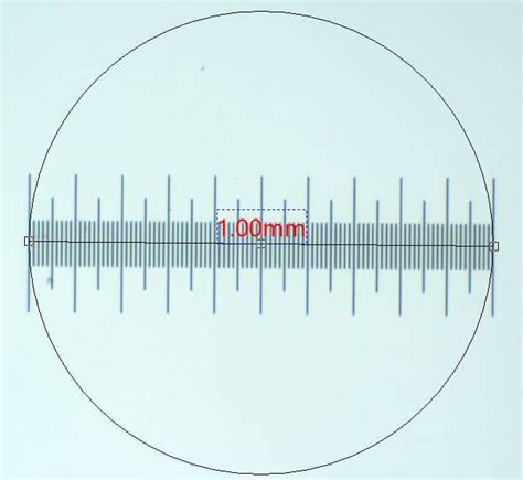 Meter in Millimeters: Measuring the Microscopic with Precision