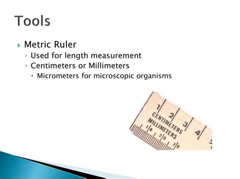 Meters and Millimeters: The Ultimate Guide to Microscopic and Macroscopic Measurement