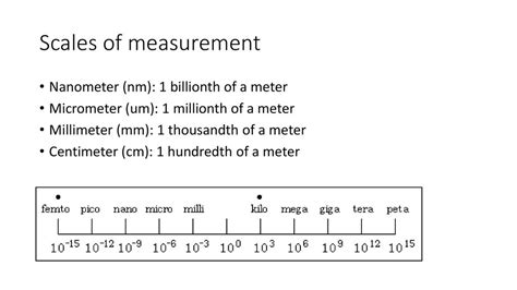 Meters to Nanometers: Exploring the Extraordinary Scale of Measurement