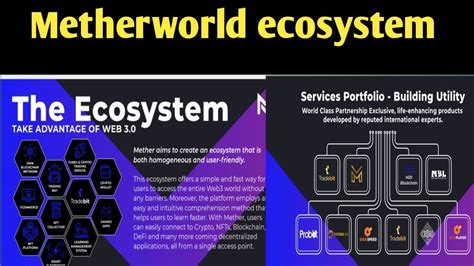 Metherworld: A Detailed Exploration of the Metaverse