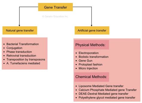 Method of Transfer