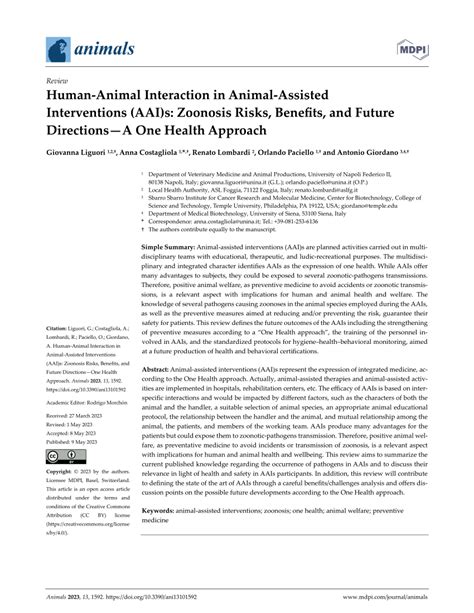 Mewsticc: The Future of Human-Animal Interaction