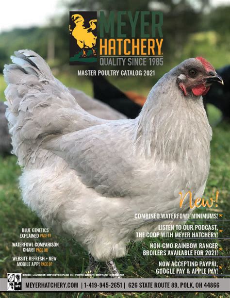 Meyer Hatchery Catalog
