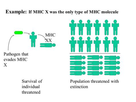 Mhc + X Epub