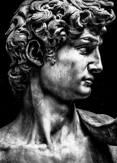 Michelangelo A Renaissance Profile Epub