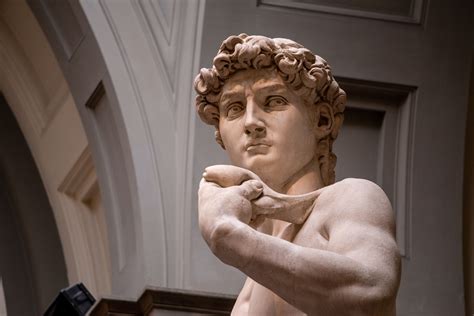 Michelangelo Painters Reader