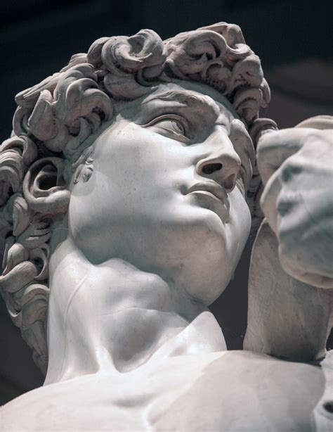 Michelangelo Sculptures I Kindle Editon