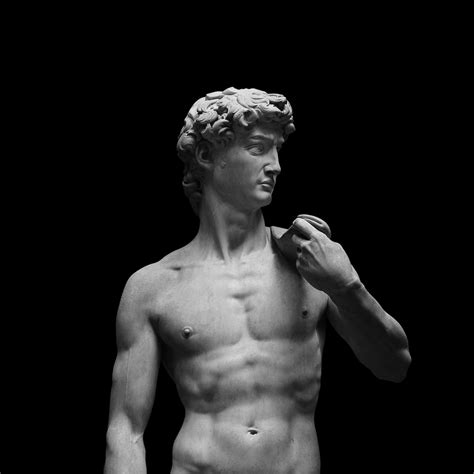 Michelangelo s David From Symbol to Myth Kindle Editon