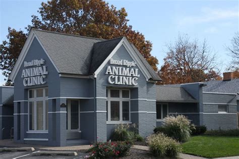 Michigan Street Vet Clinic Indianapolis: Providing Exceptional Veterinary Care Since 2010