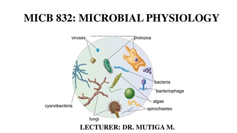 Microbial Physiology Reader