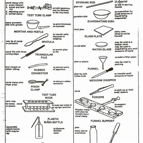 Microbiology Lab Answer Key Reader