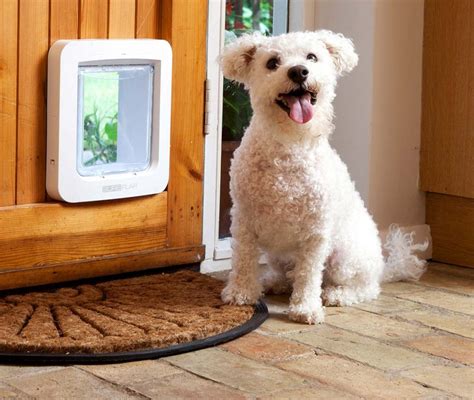 Microchip Pet Doors: A Convenient and Secure Solution