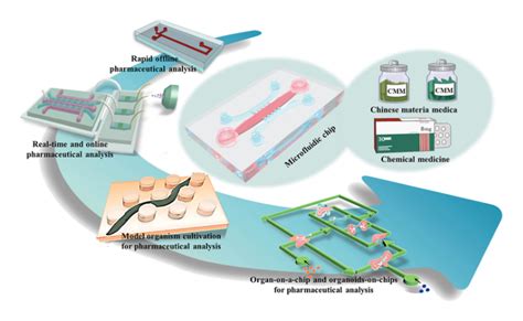 Microfluidics: The Key to Precision and Efficiency