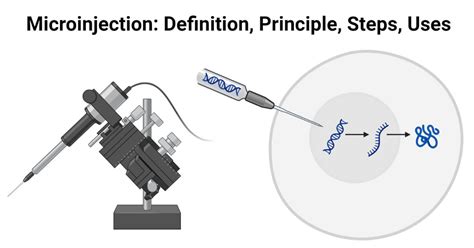 Microinjection Methods and Applications Epub