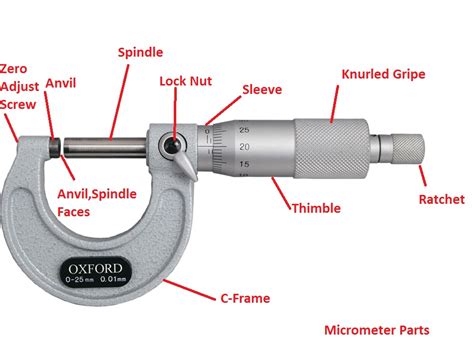 Micrometer (μm)