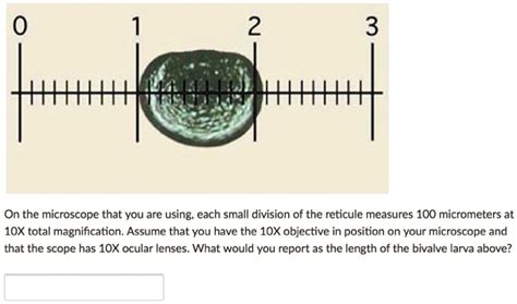 Micrometers: Minute Magnification