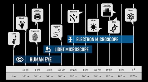 Micrometers to Nanometers: A Comprehensive Guide to the Microscale