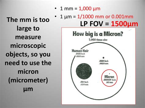 Micron (µm):