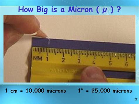 Micron to Centimeter: 10,000 Character Journey Unveiling Microscopic to Macroscopic Conversions