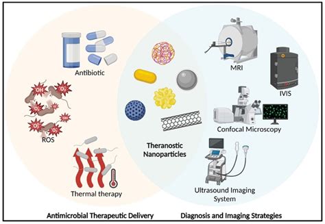 Micronul: The Future of Precision Diagnostics and Therapeutic Delivery