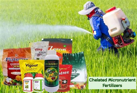 Micronutrient Fertilizers: The Key to Healthy and Productive Crops