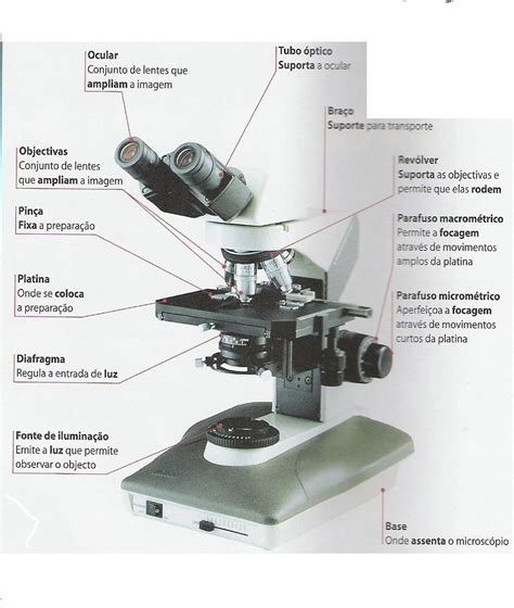 Microscópio Óptico: Um Guia Completo para Explorar o Mundo Microscópico