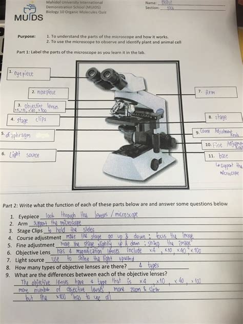 Microscope Lab Worksheet Answers Doc