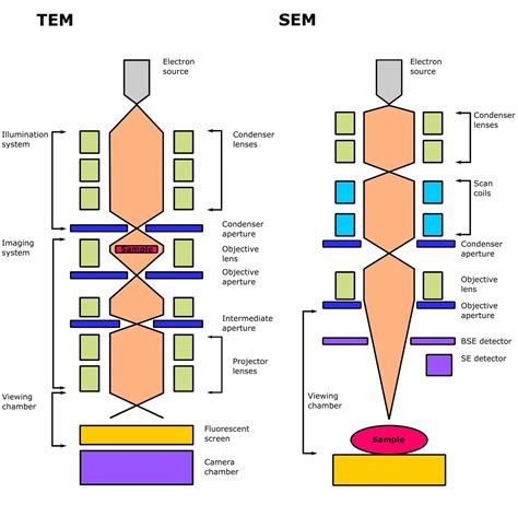 Microscopy Techniques: