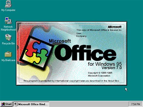 Microsoft Excel for Windows 95 Reader