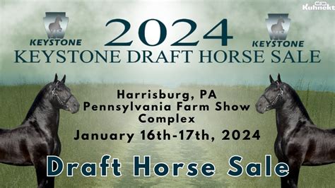 Mid America Draft Horse Sale 2024: A Comprehensive Guide