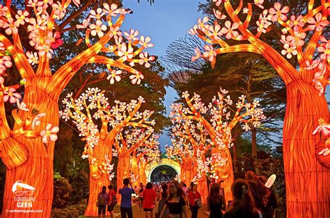 Mid Autumn Festival Gardens by the Bay 2023: A Spectacular 10-Night Extravaganza