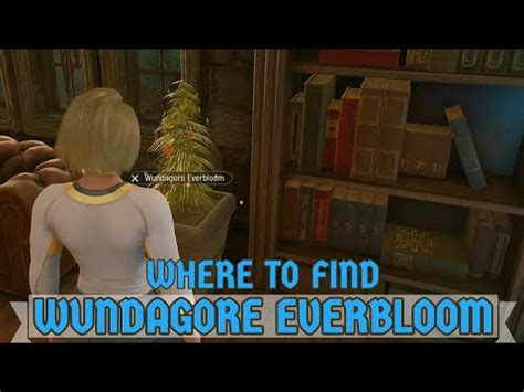 Midnight Suns: Wundagore Everbloom - A Guide to the Everlasting Flower