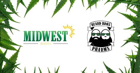 Midwest Mandy: A Comprehensive Guide to the Midwest's Top Cannabis Brand