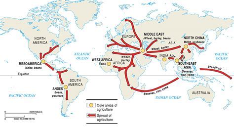 Migration of European Agriculture: A Watershed Moment in AP World History